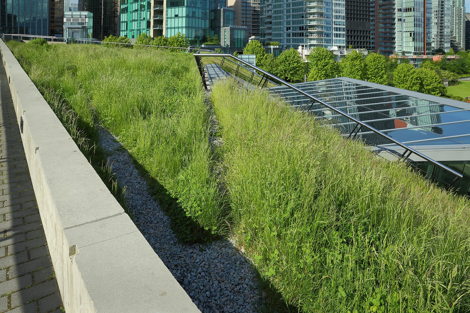 Urban Green Roof Grass atlanta green roofing system